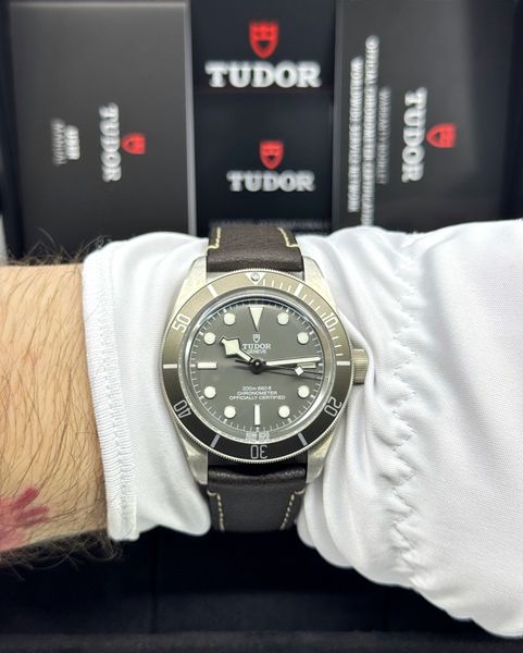 Tudor Black Bay 58 M79010SG-0001